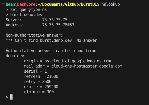 Google computers serving authoritative requests for `burst.deno.dev`